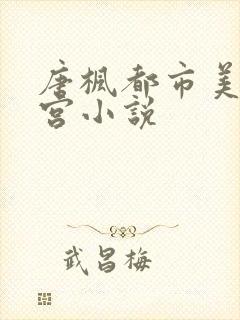 唐枫都市美艳后宫小说