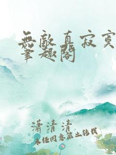 无敌真寂寞小说笔趣阁