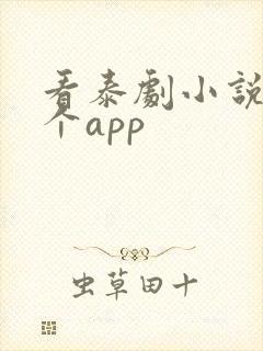 看泰剧小说在哪个app