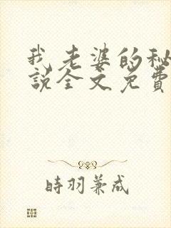 我老婆的秘密小说全文免费阅读