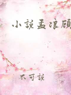 小说孟浪顾雅宁