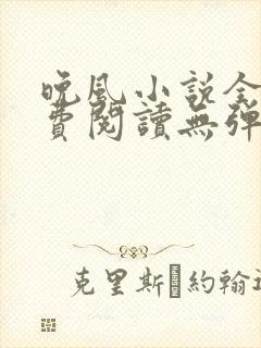 晚风小说全文免费阅读无弹窗