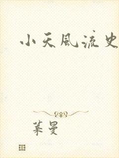 小天风流史.