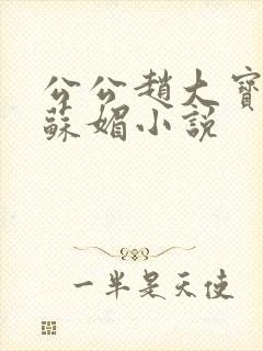 公公赵大宝儿媳苏媚小说