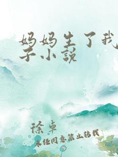 妈妈生了我的孩子小说