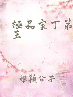 极品家丁第一版主