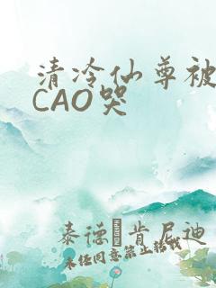 清冷仙尊被强制CAO哭