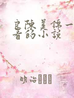 良陈美锦一样好看的小说