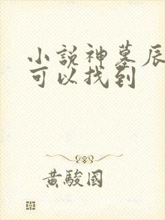小说神墓辰东哪可以找到