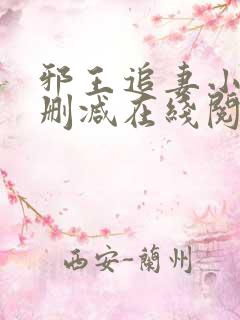 邪王追妻小说无删减在线阅读