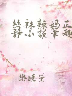 丝袜辣妈正传张静小说笔趣阁