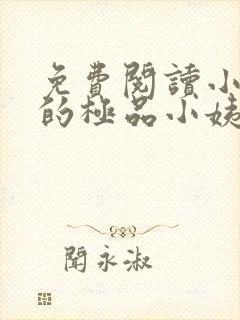 免费阅读小说我的极品小姨