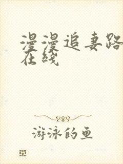 漫漫追妻路小说在线