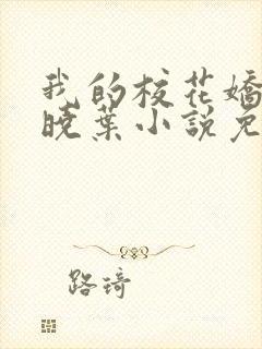 我的校花娇妻秦晓叶小说免费阅读