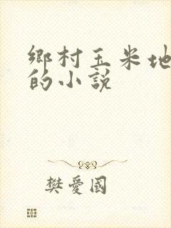 乡村玉米地周婶的小说