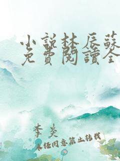 小说林辰苏夕然免费阅读全文