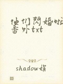 他们闪婚啦附带番外txt