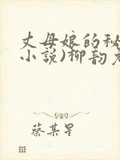 丈母娘的秘密(小说)柳韵免费阅读