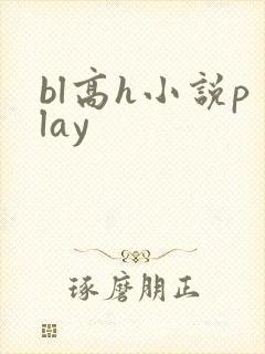 bl高h小说play