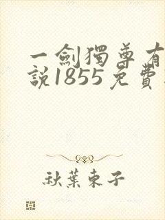 一剑独尊有声小说1855免费听