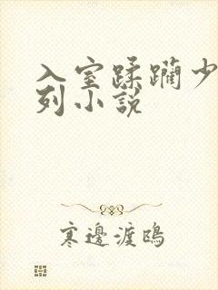 入室蹂躏少妇系列小说