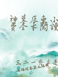 神墓辰东小说免费全本阅读