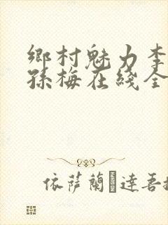 乡村魅力李大龙孙梅在线全文阅读