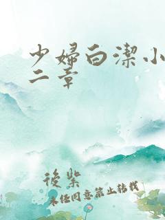 少妇白洁小说第二章