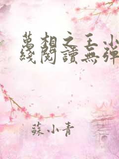 万相之王小说在线阅读无弹窗
