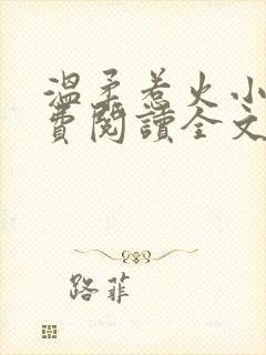 温柔惹火小说免费阅读全文