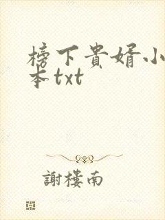 榜下贵婿小说全本txt