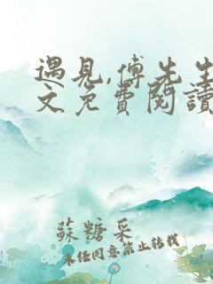 遇见,傅先生全文免费阅读