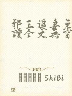 邪王追妻免费阅读全文无窗口