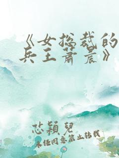 《女总裁的全能兵王萧晨》