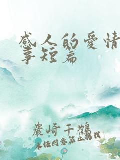 感人的爱情小故事短篇