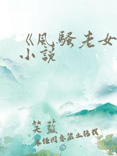《风骚老女人》小说