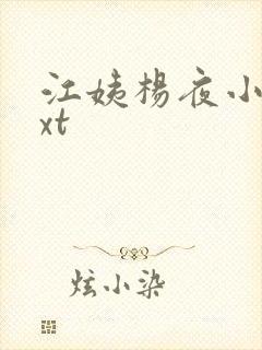 江姨杨夜小说txt