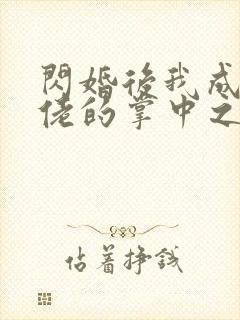 闪婚后我成了大佬的掌中之物 小说