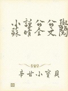 小说公公与儿媳苏晴全文阅读