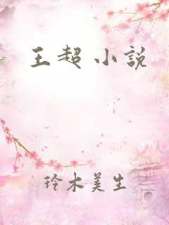 王超 小说