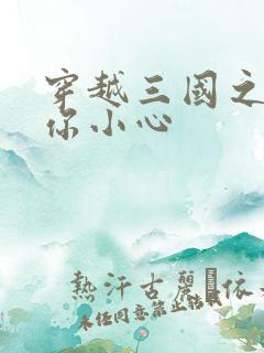 穿越三国之孔明你小心