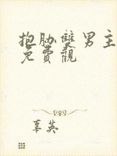 抱胁双男主泰剧免费观