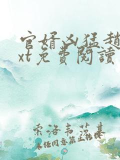 官婿凶猛赵阳txt免费阅读