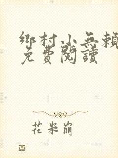 乡村小无赖小说免费阅读