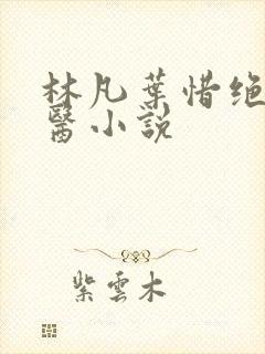林凡叶惜绝世邪医小说