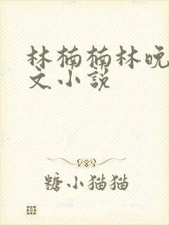 林楠楠林晚林子文小说