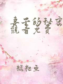 妻子的秘密全集观看免费