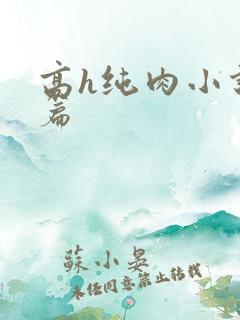 高h纯肉小说短篇