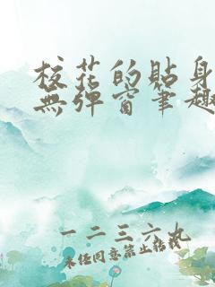 校花的贴身高手无弹窗笔趣阁5200