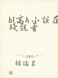 bl高h小说在线观看